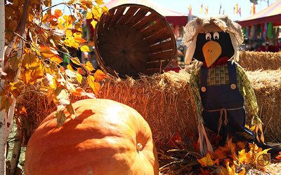 Del Sur Fall Festival 2017 – Sunday